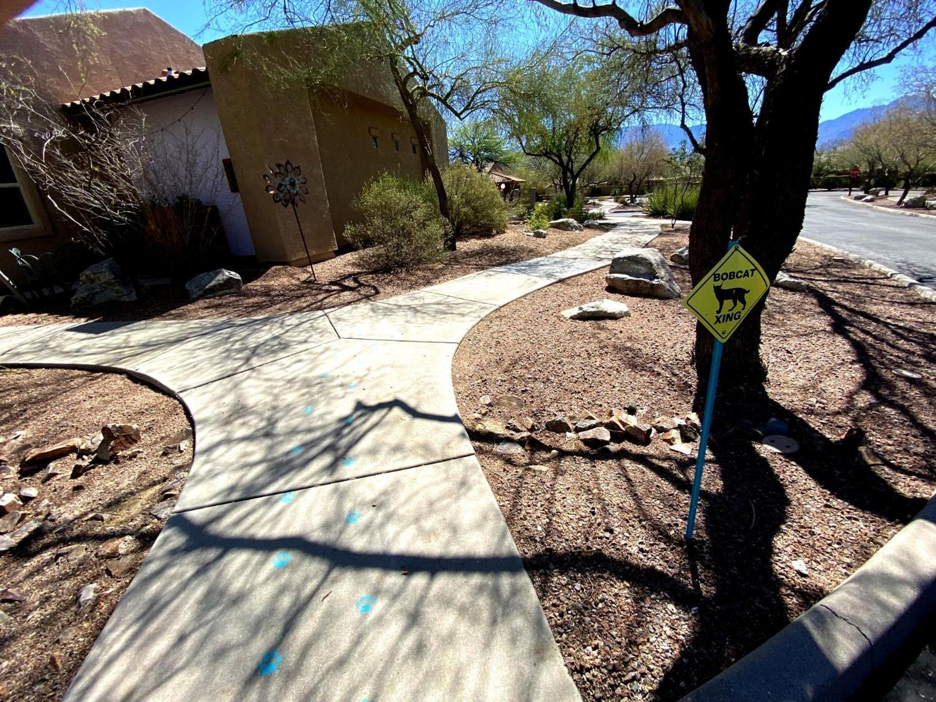 Worldmark Rancho Vistoso Oro Valley Dış mekan fotoğraf
